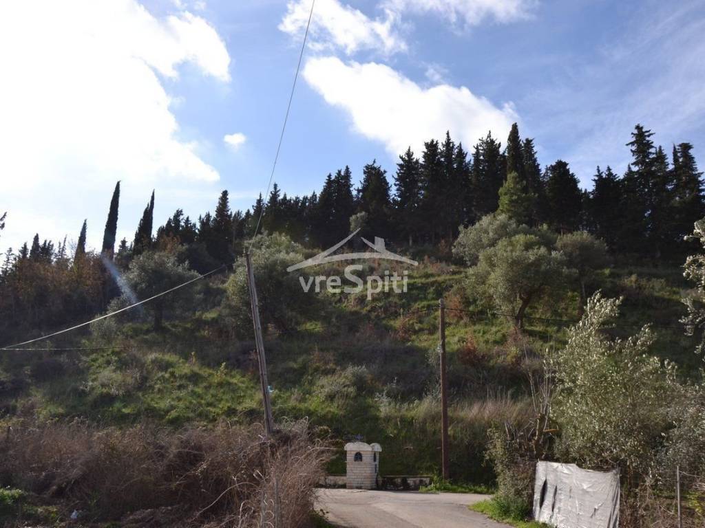 ΑΠΟΨΗ ΑΓΡΟΤΕΜΑΧΙΟΥ