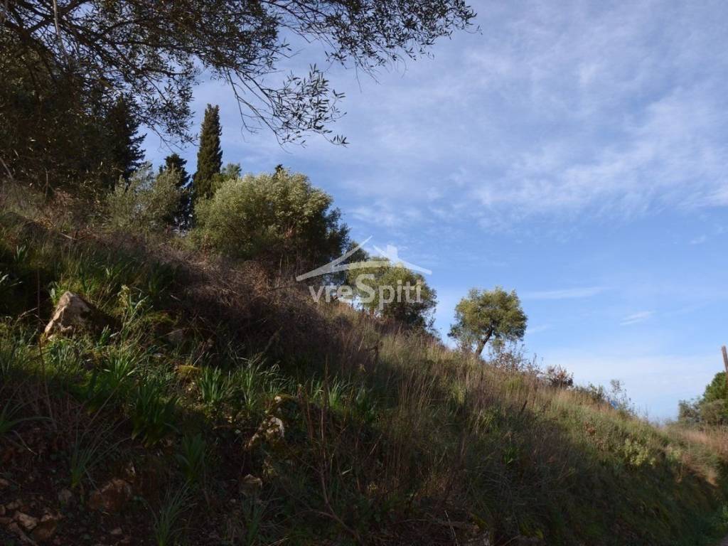 ΑΠΟΨΗ ΑΓΡΟΤΕΜΑΧΙΟΥ