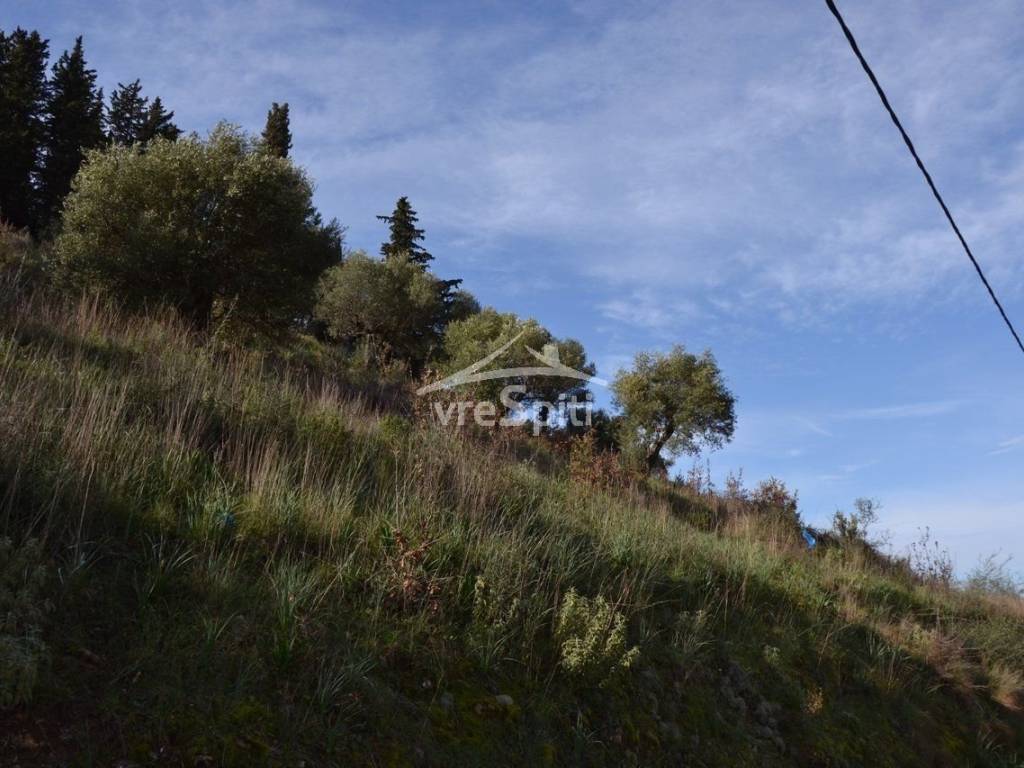 ΑΠΟΨΗ ΑΓΡΟΤΕΜΑΧΙΟΥ