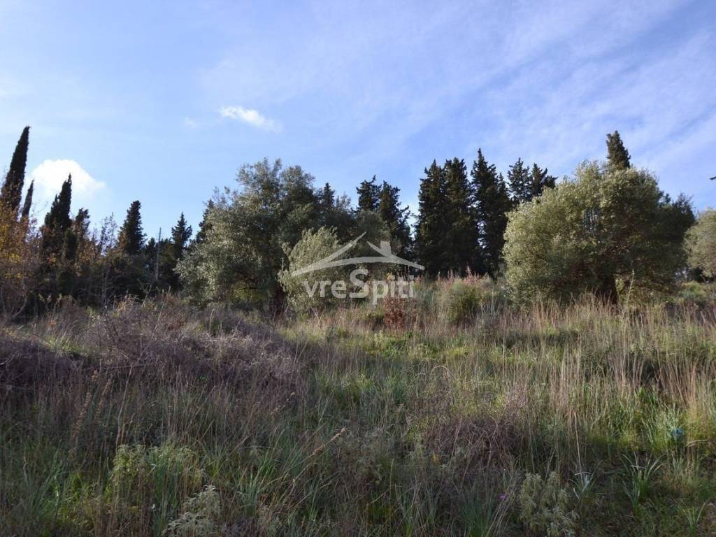 ΑΠΟΨΗ ΑΓΡΟΤΕΜΑΧΙΟΥ