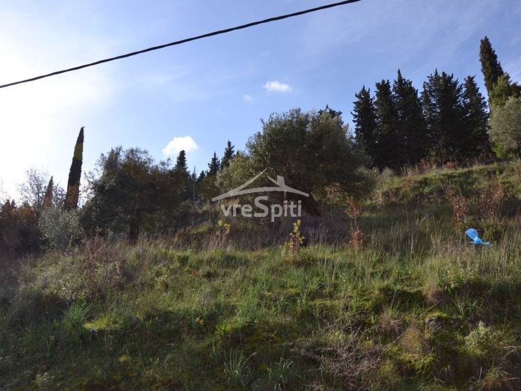 ΑΠΟΨΗ ΑΓΡΟΤΕΜΑΧΙΟΥ