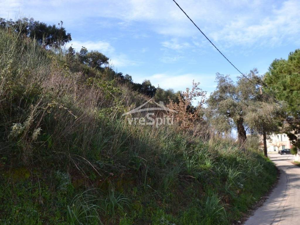 ΑΠΟΨΗ ΑΓΡΟΤΕΜΑΧΙΟΥ