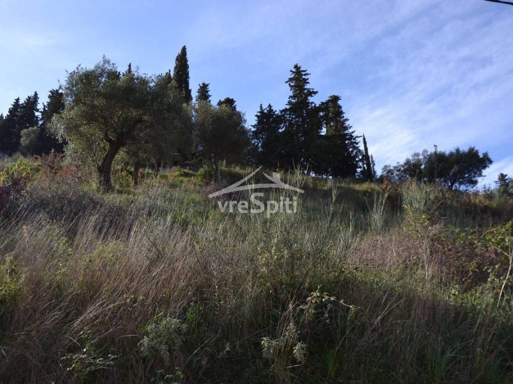 ΑΠΟΨΗ ΑΓΡΟΤΕΜΑΧΙΟΥ