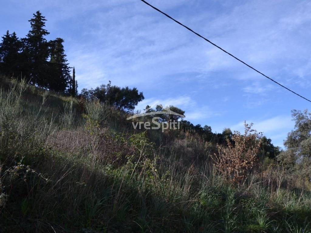 ΑΠΟΨΗ ΑΓΡΟΤΕΜΑΧΙΟΥ