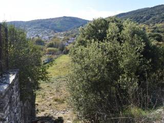 ΑΠΟΨΗ ΟΙΚΟΠΕΔΟΥ