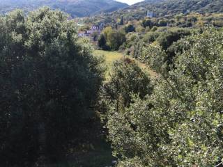 ΑΠΟΨΗ ΟΙΚΟΠΕΔΟΥ