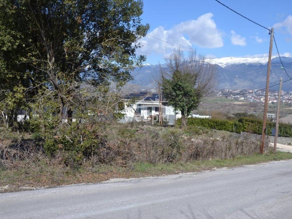 ΑΠΟΨΗ ΟΙΚΟΠΕΔΟΥ