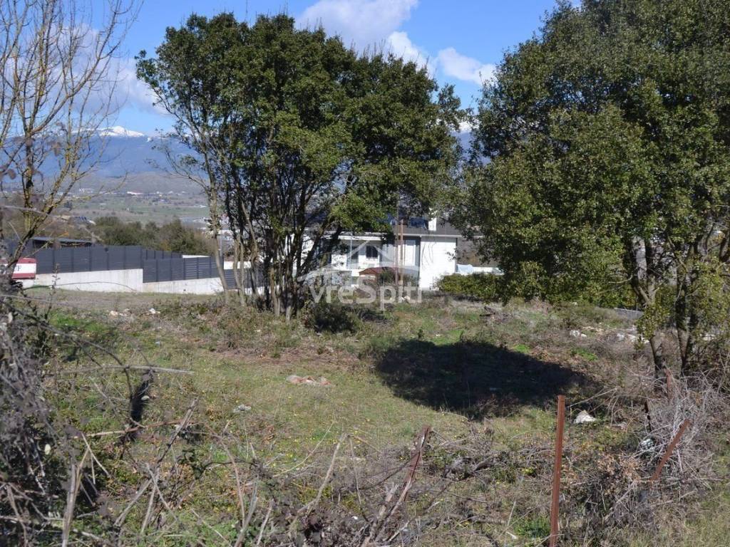 ΑΠΟΨΗ ΟΙΚΟΠΕΔΟΥ