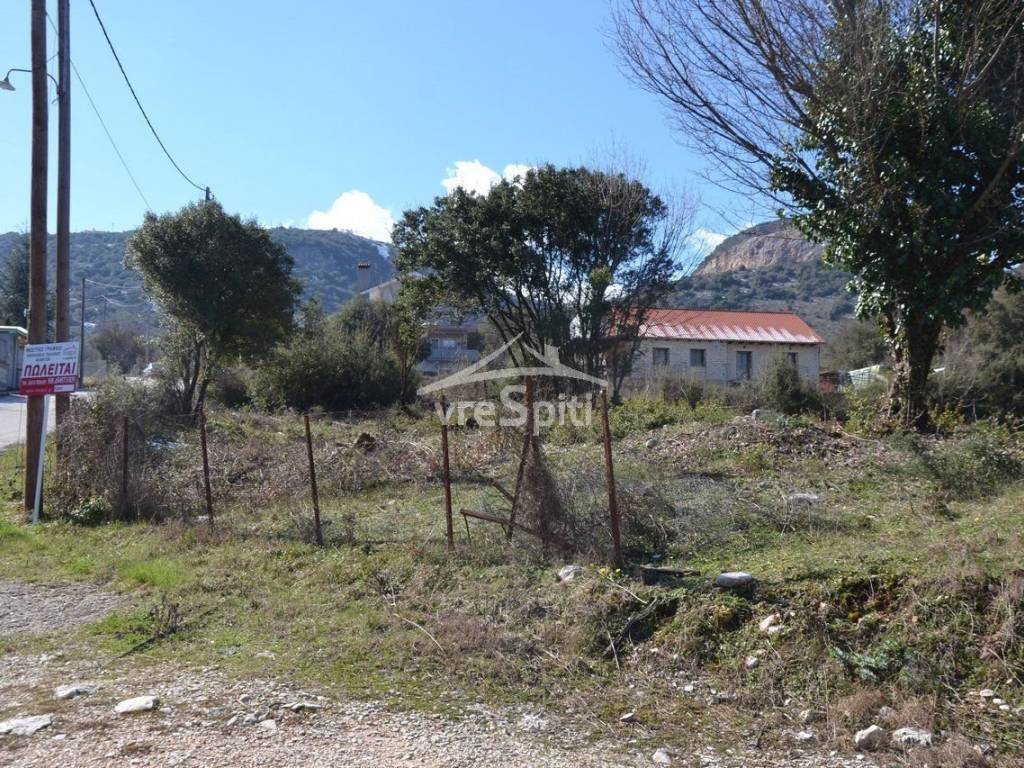 ΑΠΟΨΗ ΟΙΚΟΠΕΔΟΥ