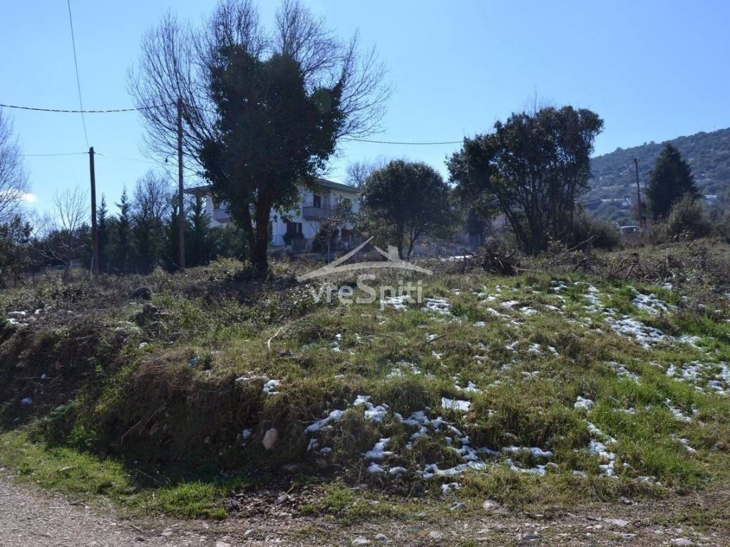 ΑΠΟΨΗ ΟΙΚΟΠΕΔΟΥ