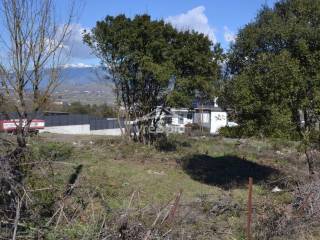 ΑΠΟΨΗ ΟΙΚΟΠΕΔΟΥ