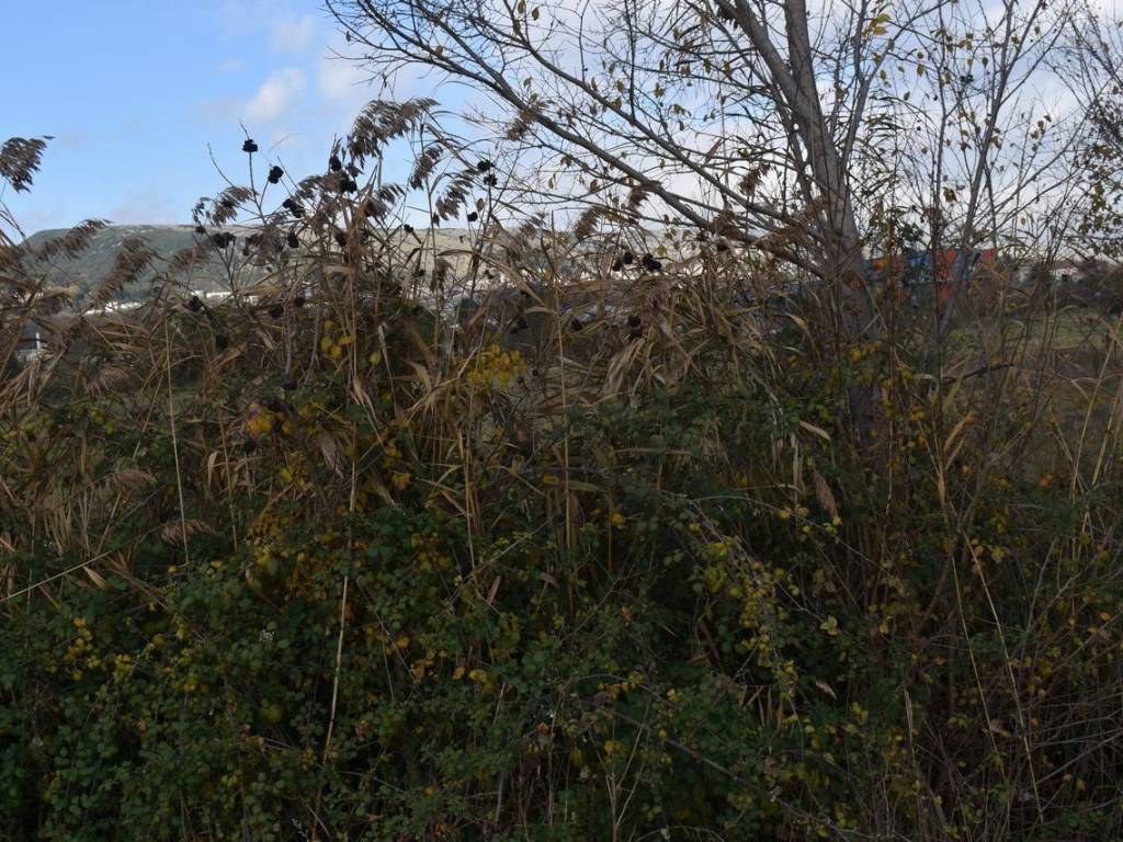 ΑΠΟΨΗ ΑΓΡΟΤΕΜΑΧΙΟΥ