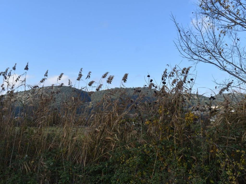 ΑΠΟΨΗ ΑΓΡΟΤΕΜΑΧΙΟΥ