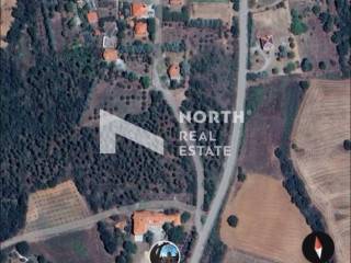 Ύπαρξη ανθρώπου