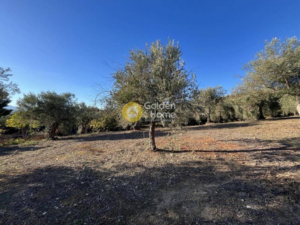 Εξωτερικός Χώρος