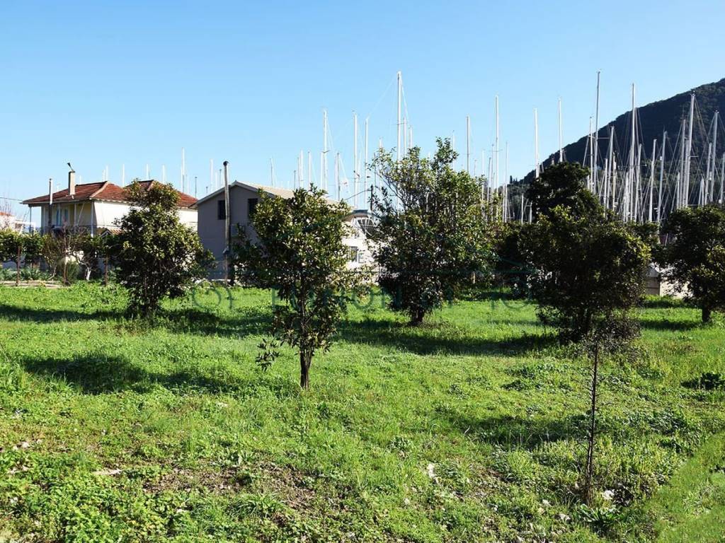 Το οικόπεδο