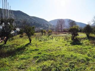 Το οικόπεδο