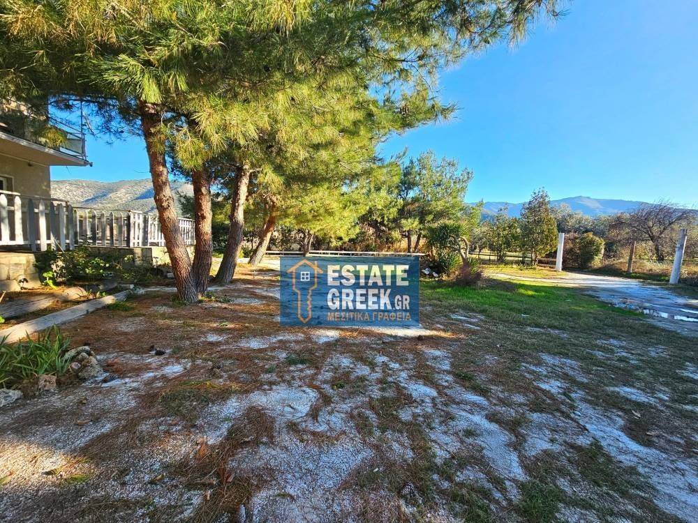 ★ Renovation 2023 ★ 8 rooms ★ Plot 2560 ★ Swimming pool  