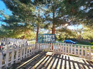 ★ Renovation 2023 ★ 8 rooms ★ Plot 2560 ★ Swimming pool  