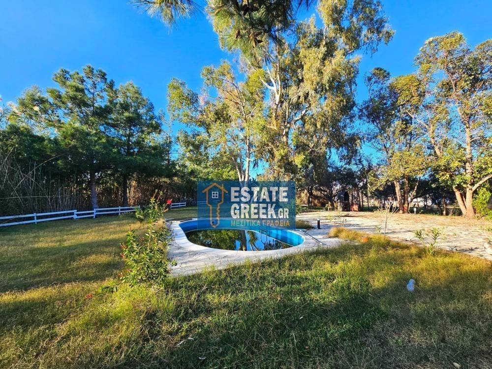 ★ Renovation 2023 ★ 8 rooms ★ Plot 2560 ★ Swimming pool  