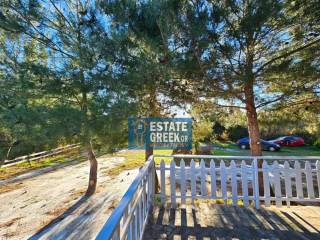 ★ Renovation 2023 ★ 8 rooms ★ Plot 2560 ★ Swimming pool  