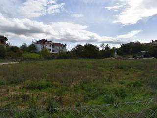 ΑΠΟΨΗ ΟΙΚΟΠΕΔΟΥ