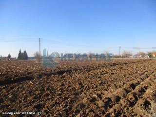 ΕΞΩΤΕΡΙΚΗ ΛΗΨΗ