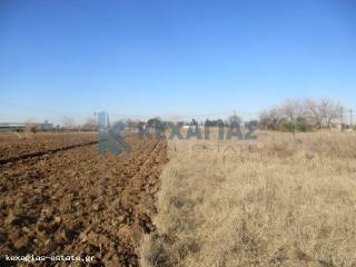 ΕΞΩΤΕΡΙΚΗ ΛΗΨΗ