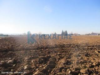 ΕΞΩΤΕΡΙΚΗ ΛΗΨΗ