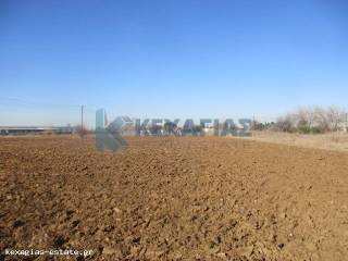 ΕΞΩΤΕΡΙΚΗ ΛΗΨΗ