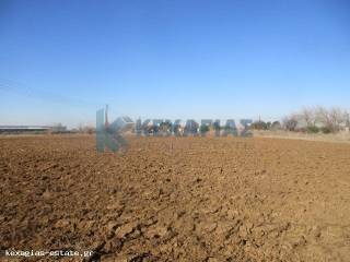 ΕΞΩΤΕΡΙΚΗ ΛΗΨΗ