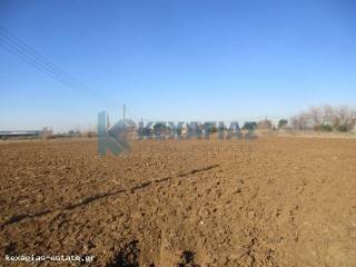 ΕΞΩΤΕΡΙΚΗ ΛΗΨΗ