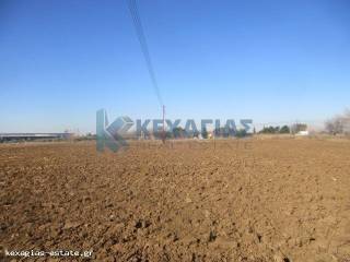 ΕΞΩΤΕΡΙΚΗ ΛΗΨΗ