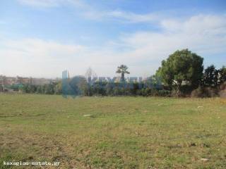 ΕΞΩΤΕΡΙΚΗ ΛΗΨΗ