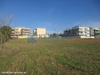 ΕΞΩΤΕΡΙΚΗ ΛΗΨΗ