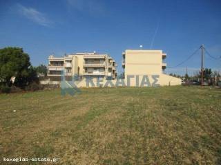 ΕΞΩΤΕΡΙΚΗ ΛΗΨΗ