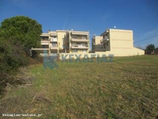 ΕΞΩΤΕΡΙΚΗ ΛΗΨΗ