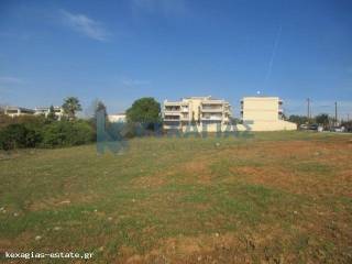 ΕΞΩΤΕΡΙΚΗ ΛΗΨΗ