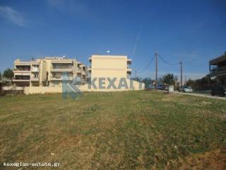 ΕΞΩΤΕΡΙΚΗ ΛΗΨΗ