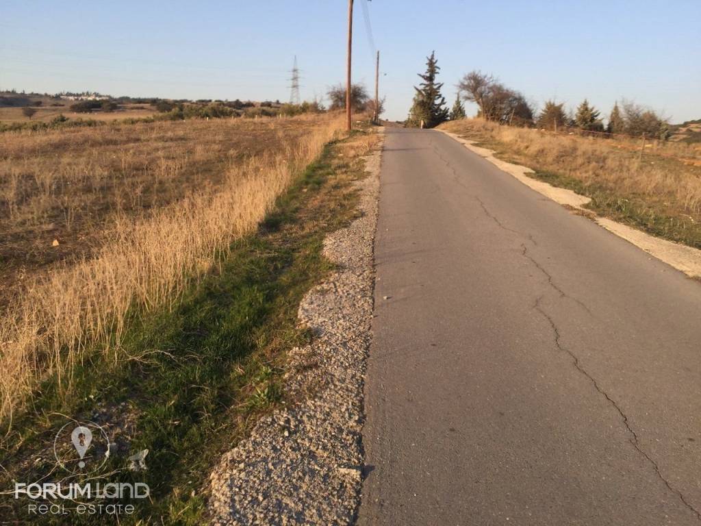 Forumland Real Estate, Αγροτεμάχιο 7.500τ.μ.