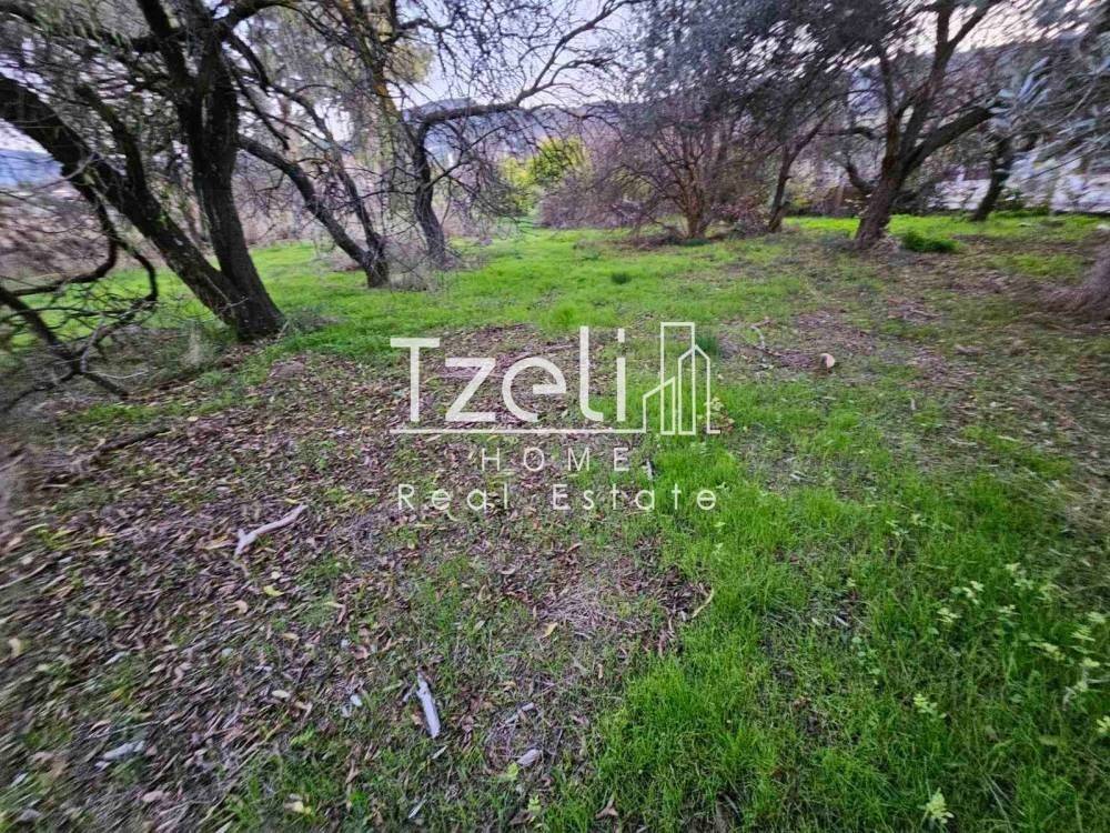 Εξωτερική άποψη χώρου