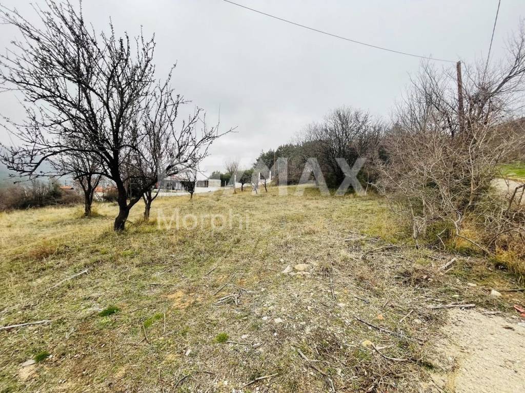 Εξωτερικοι χώροι