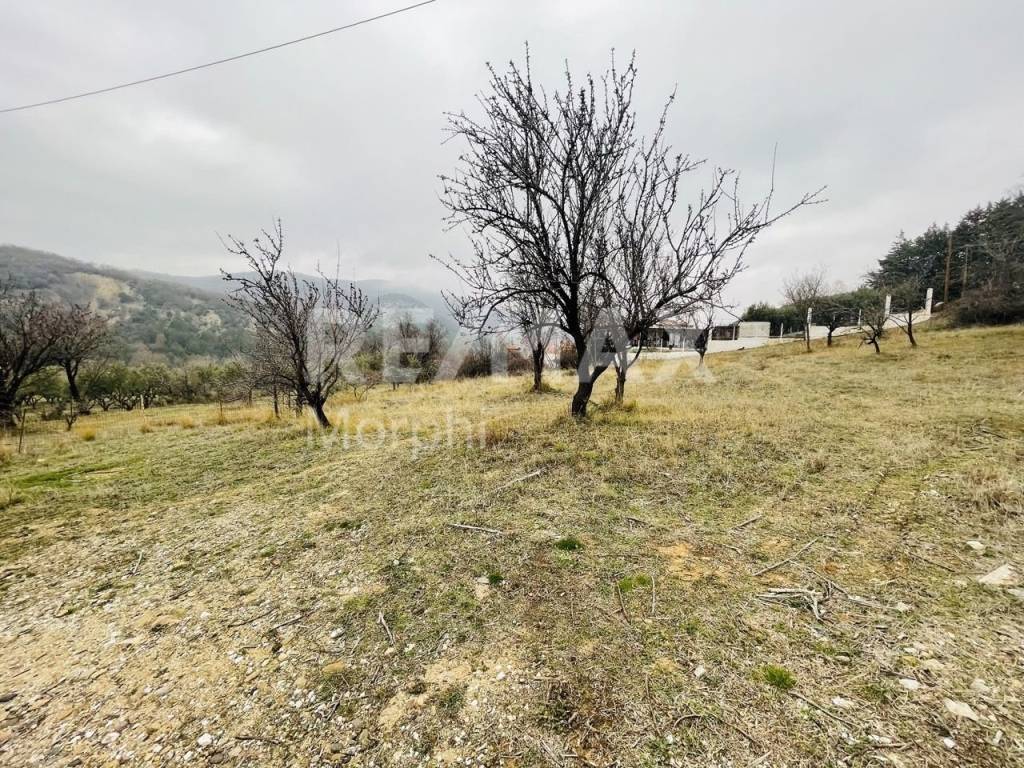 Εξωτερικοι χώροι