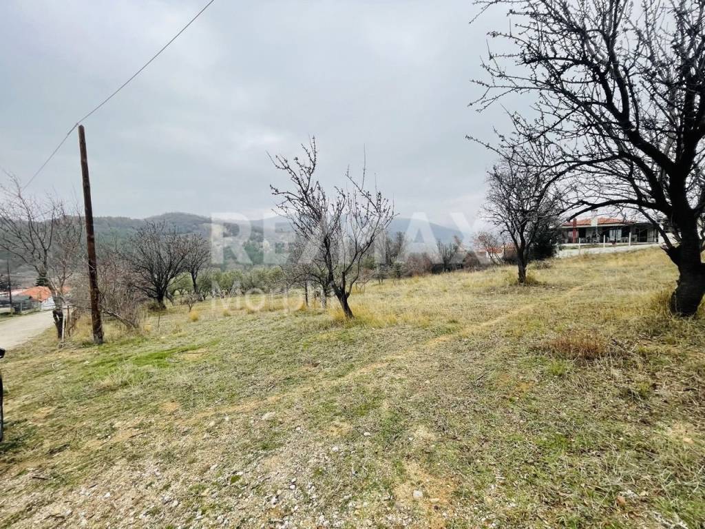 Εξωτερικοι χώροι