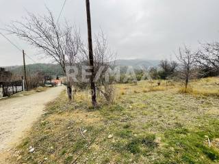 Εξωτερικοι χώροι