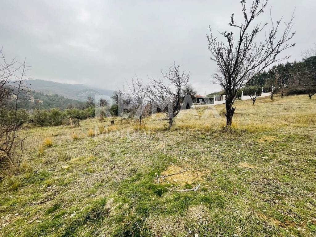 Εξωτερικοι χώροι