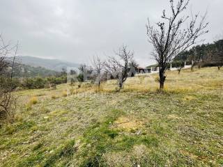 Εξωτερικοι χώροι