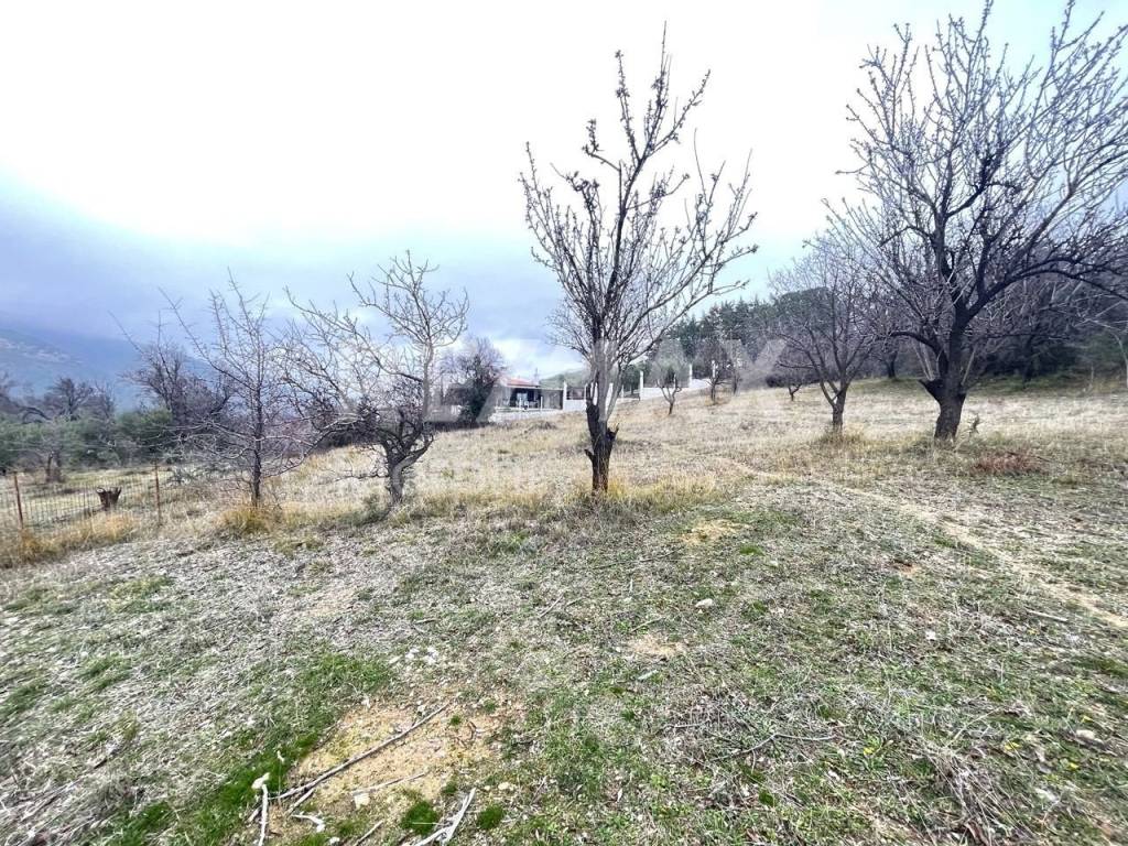 Εξωτερικοι χώροι