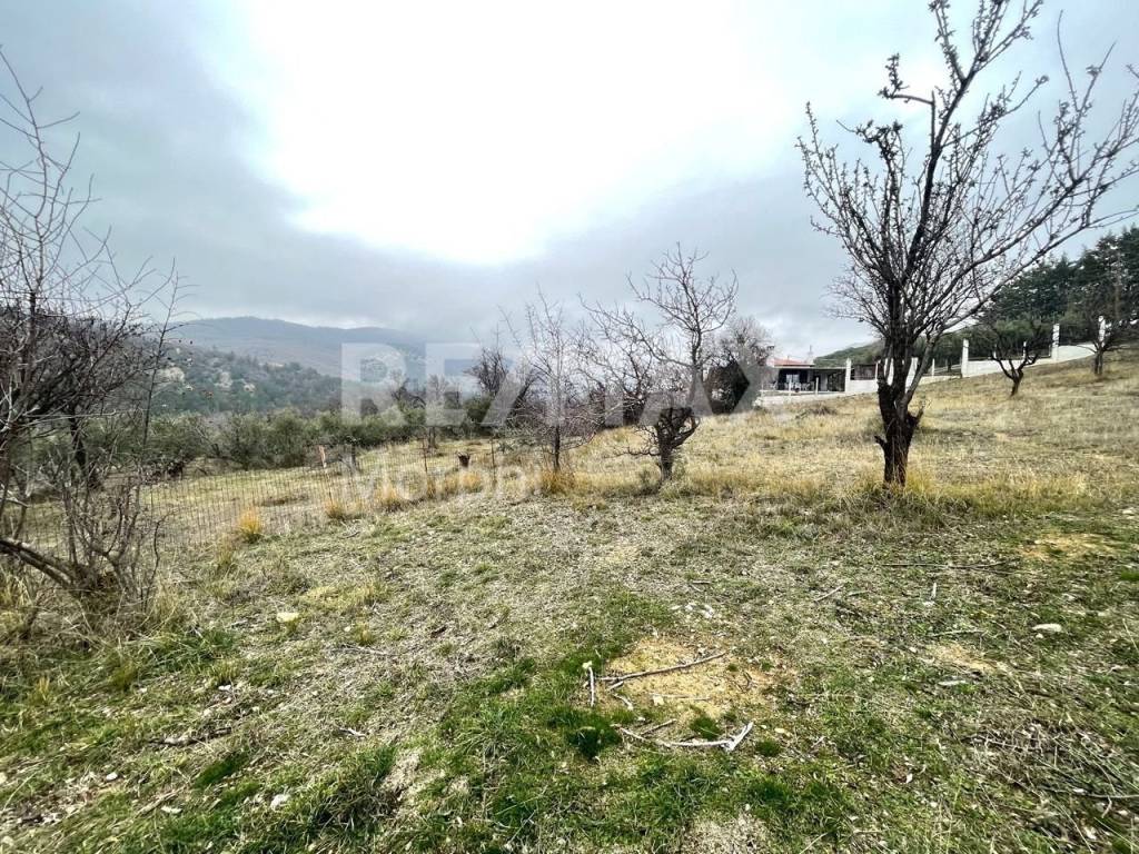 Εξωτερικοι χώροι