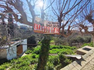 Εξωτερικοι χώροι